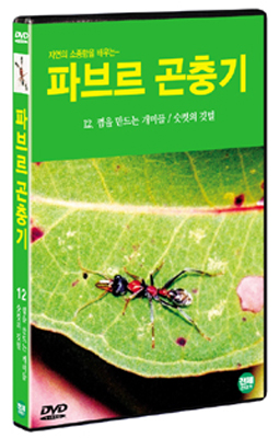 파브르 곤충기 12 :  껌을 만드는 개미들 / 숫컷의 깃털