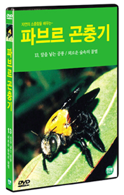 파브르 곤충기 13 :  알을 낳는 공룡 / 외로운 숲속의 꿀벌