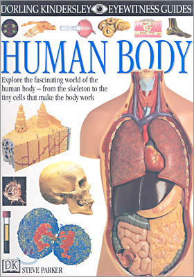 DK Eyewitness Guides : Human Body