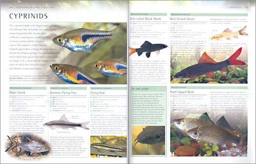 DK Encyclopedia of Aquarium & Pond Fish