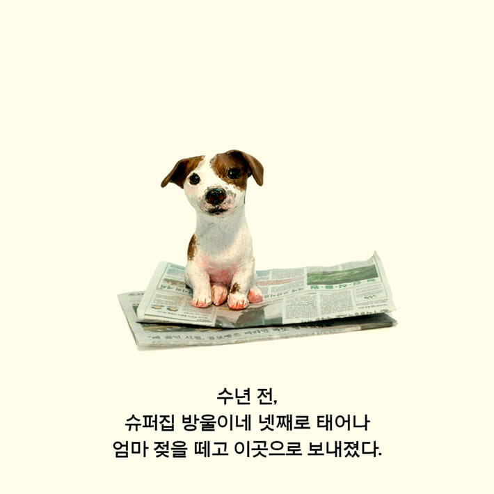 카드뉴스3