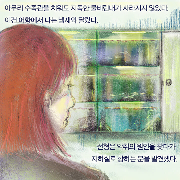 카드뉴스5