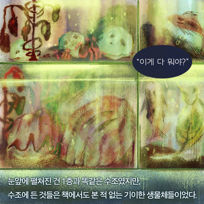 카드뉴스6