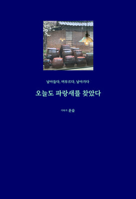 오늘도 파랑새를 찾았다