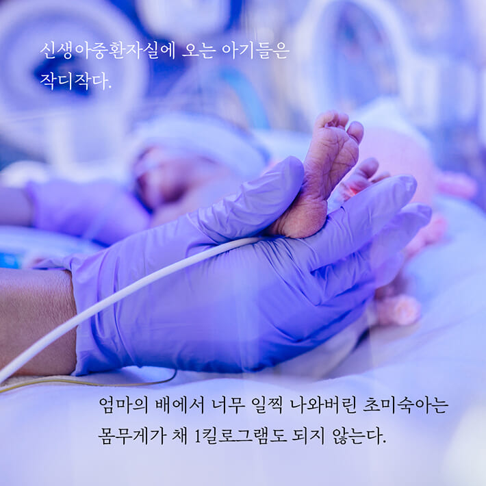카드뉴스5
