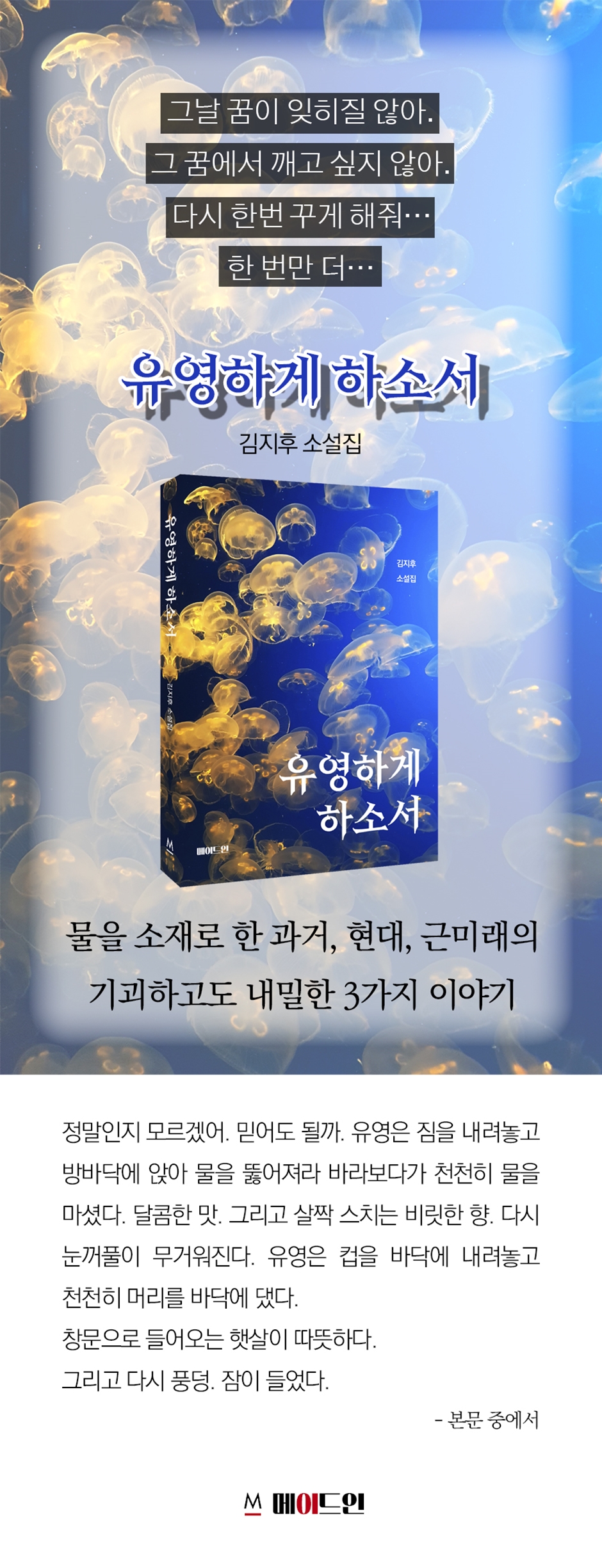 상세 이미지