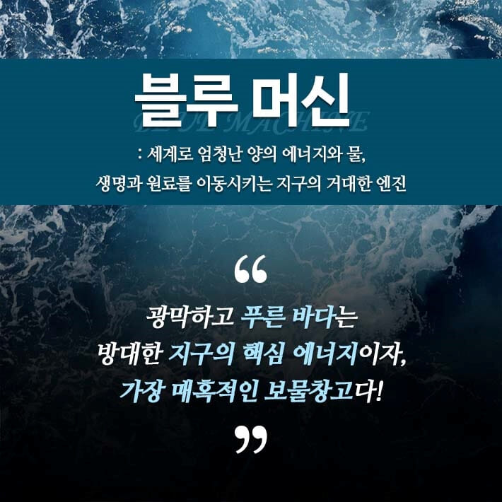 카드뉴스5