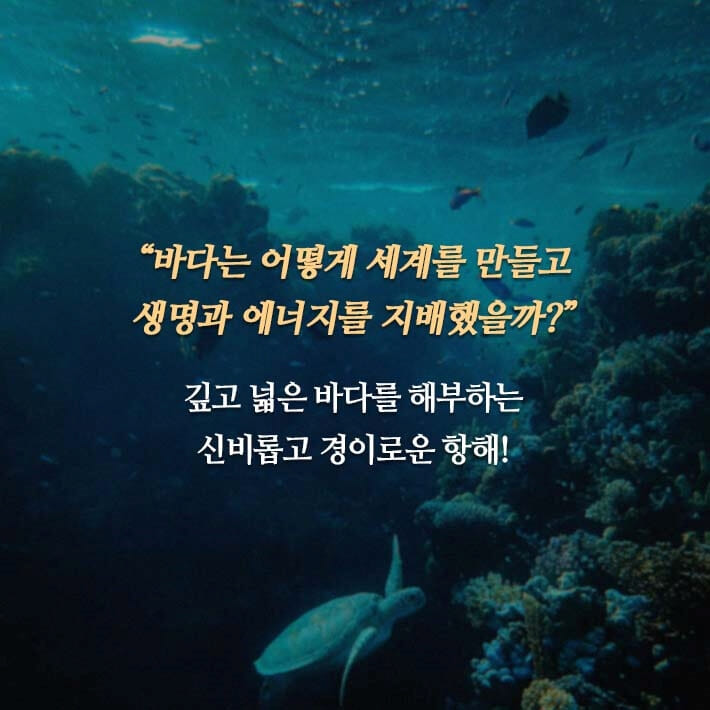 카드뉴스6