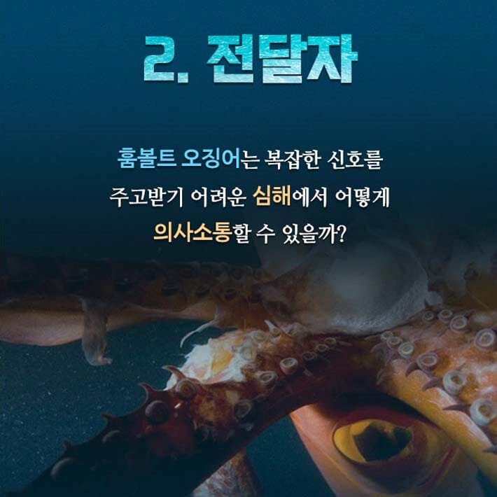 카드뉴스8