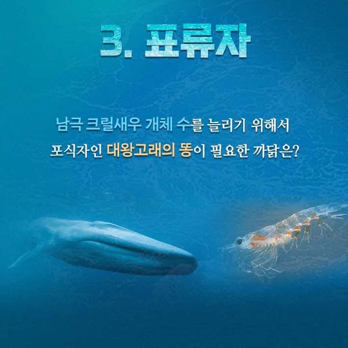 카드뉴스9