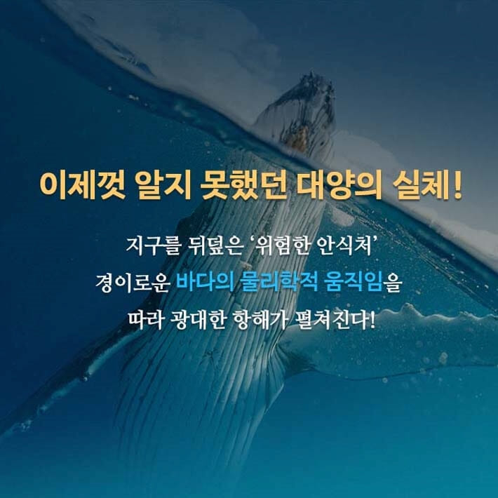 카드뉴스14