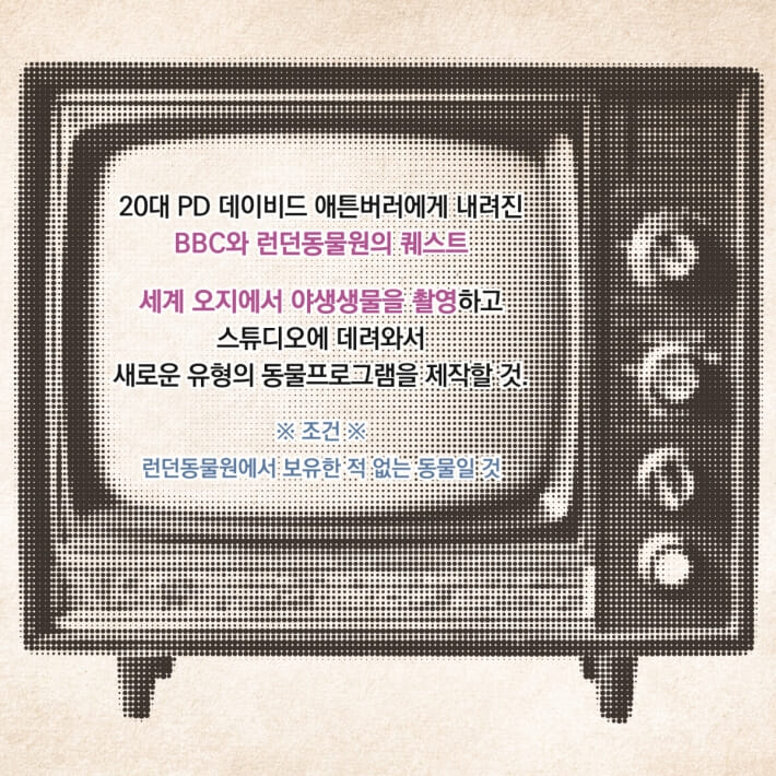 카드뉴스1