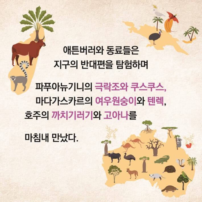 카드뉴스6