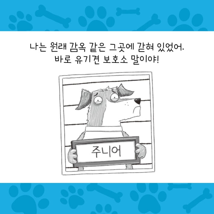 카드뉴스3