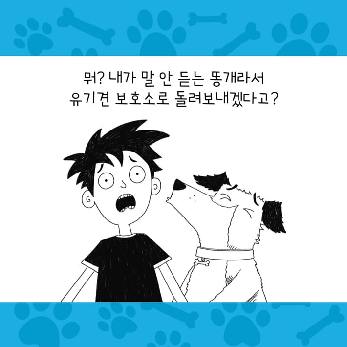 카드뉴스6