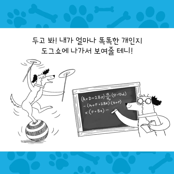 카드뉴스7