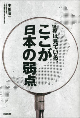 世界は見ている,ここが日本の弱点