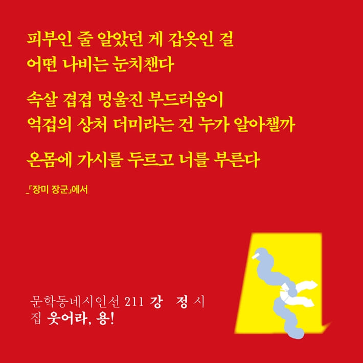 카드뉴스2