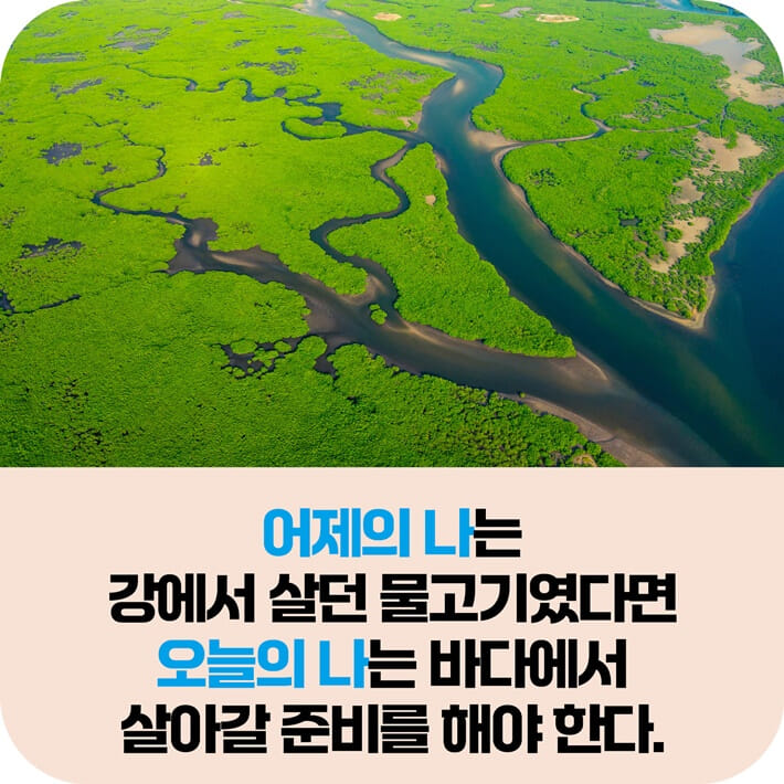 카드뉴스3
