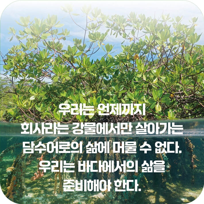 카드뉴스4