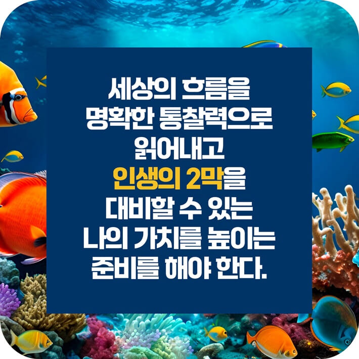 카드뉴스5