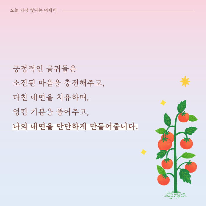 카드뉴스4