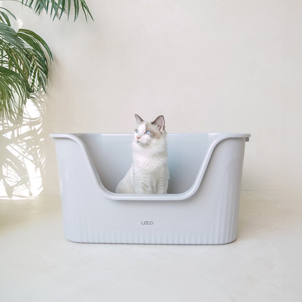 [레토] 고양이 화장실 특대형 65cm 박스형 고양이용품 (LCB-B03)