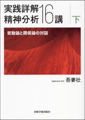 實踐詳解精神分析16講 下