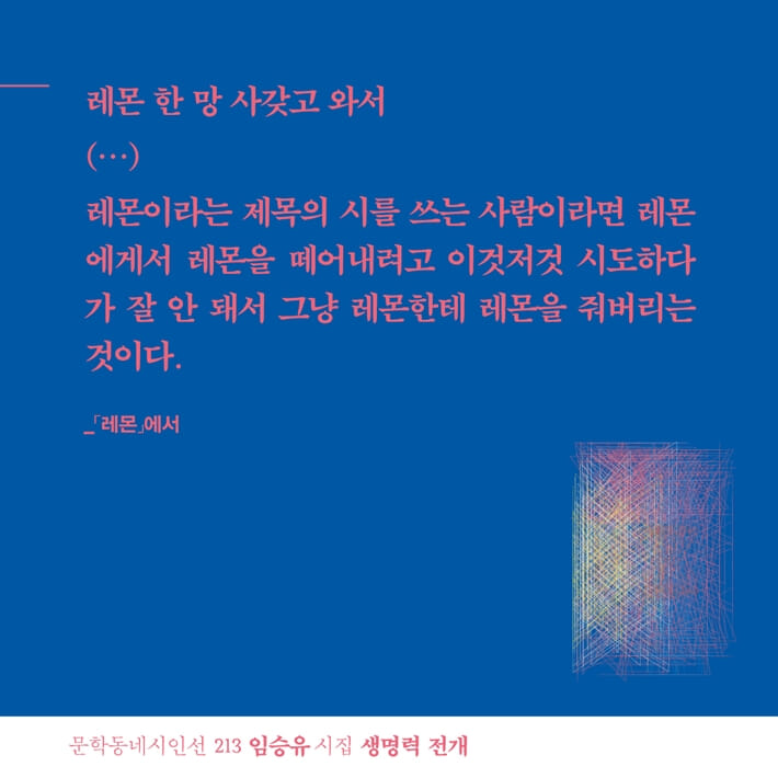 카드뉴스5