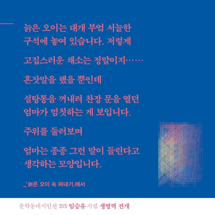 카드뉴스6