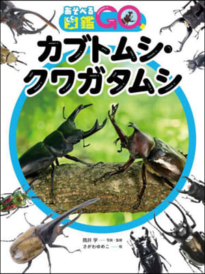 カブトムシ.クワガタムシ