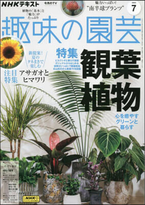 NHK 趣味の園芸 2024年7月號