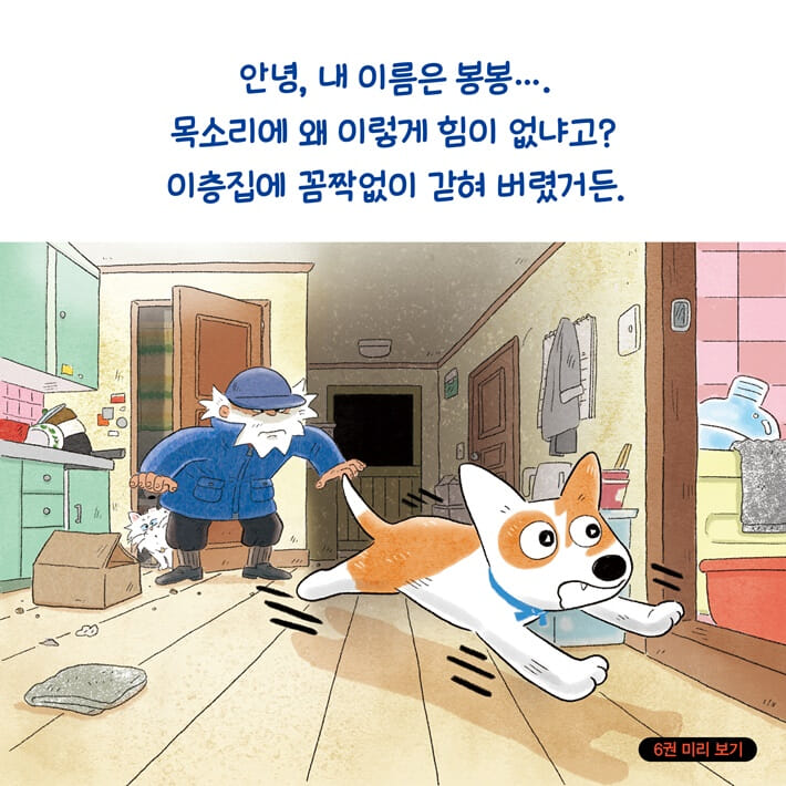 카드뉴스5