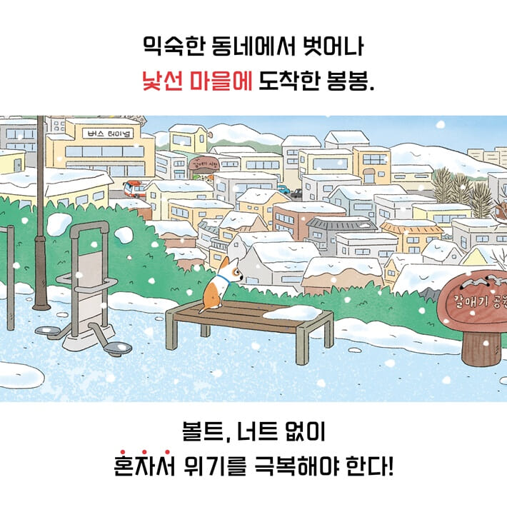 카드뉴스8