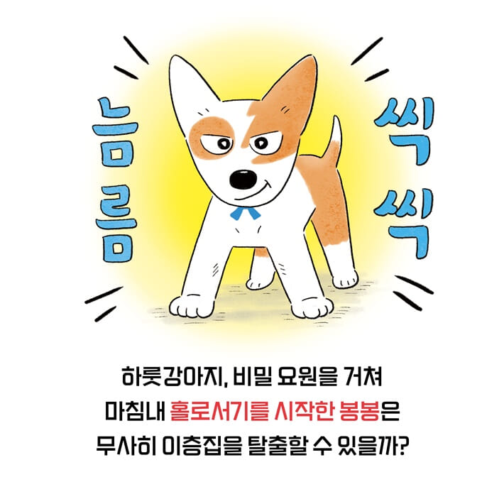 카드뉴스9