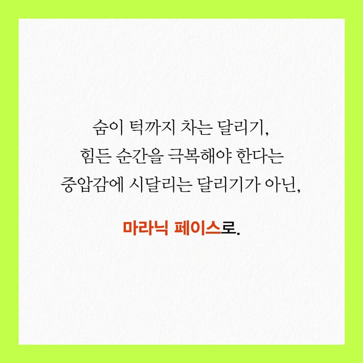 카드뉴스2