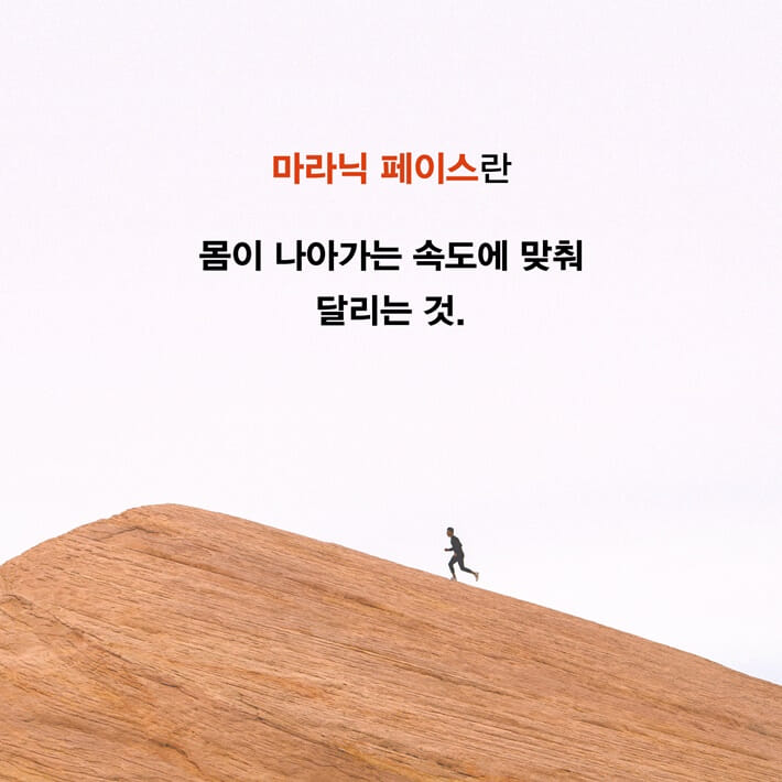 카드뉴스3