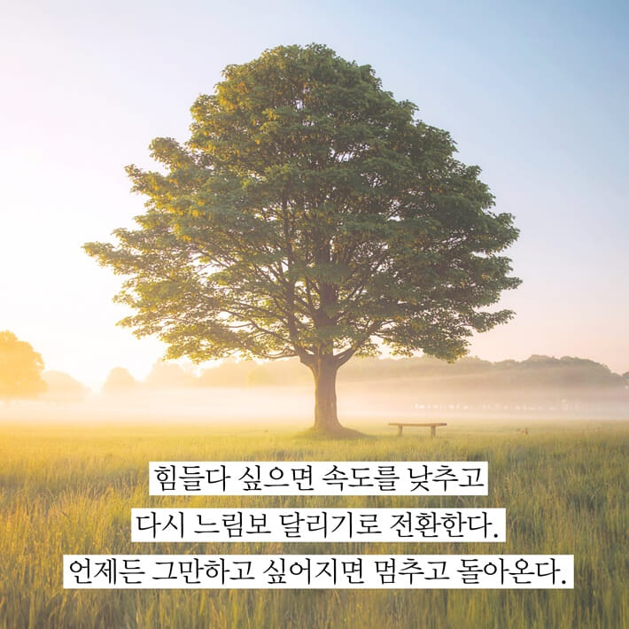 카드뉴스5