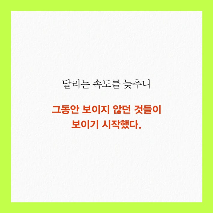 카드뉴스6