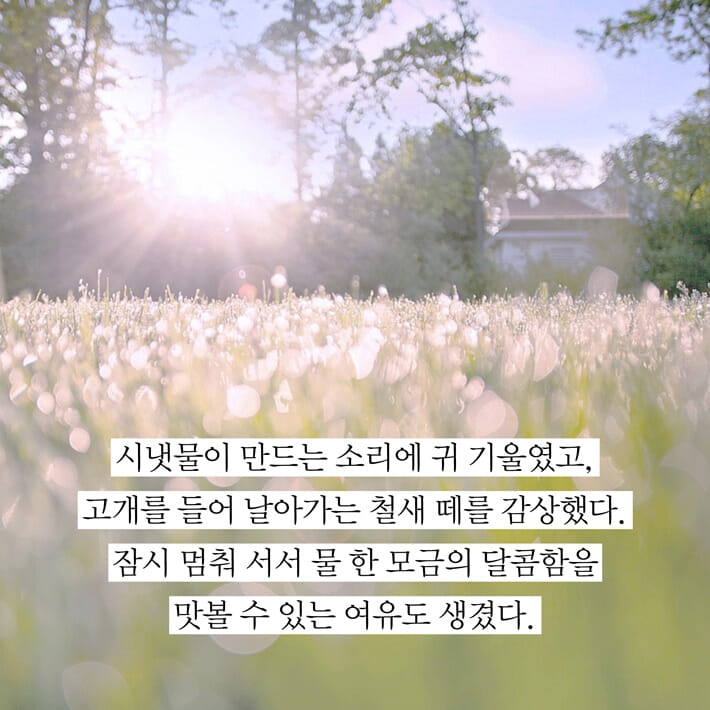 카드뉴스7