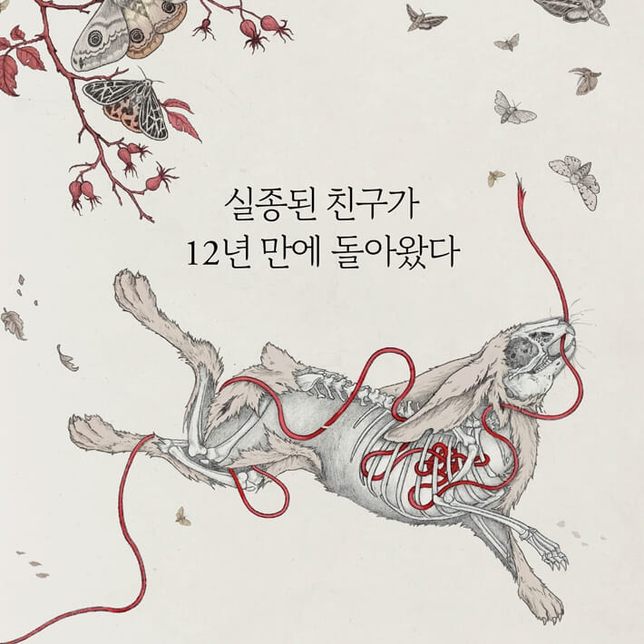 카드뉴스1