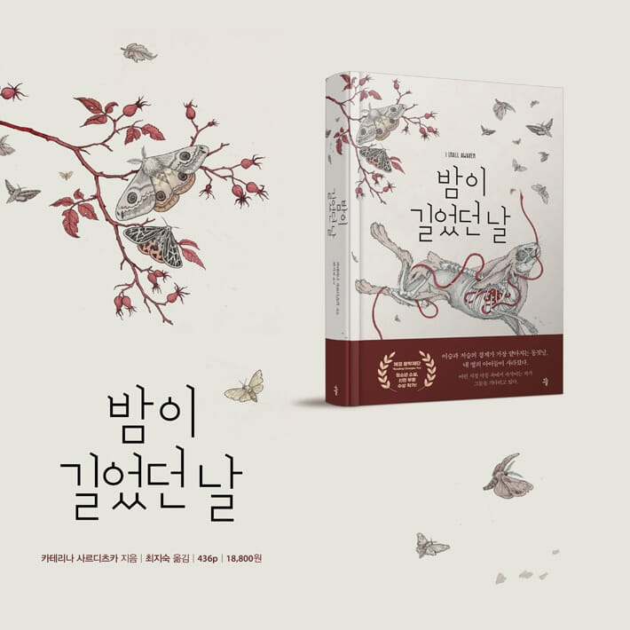 카드뉴스10