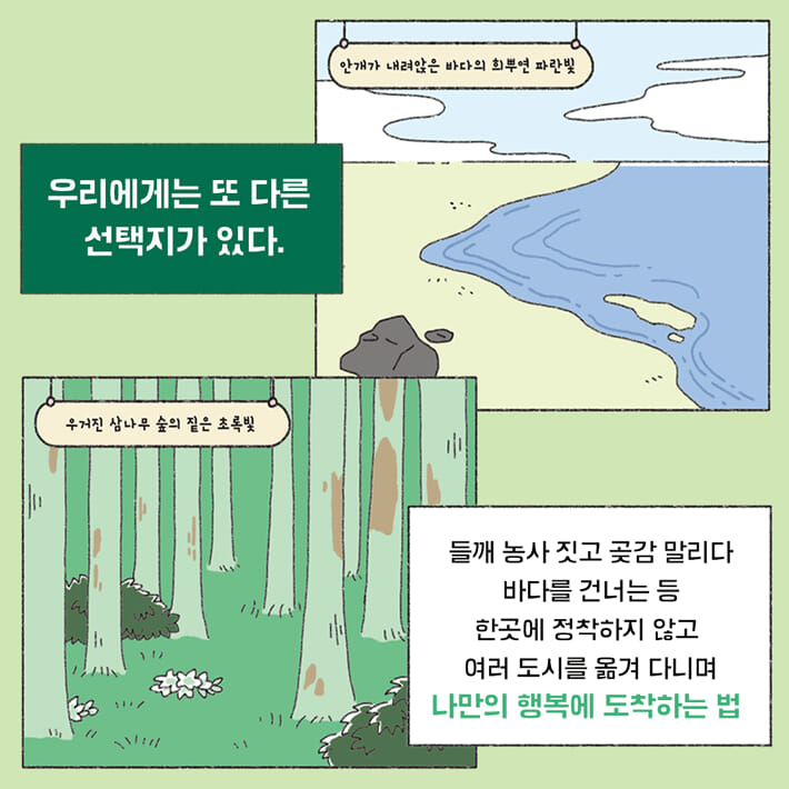 카드뉴스6