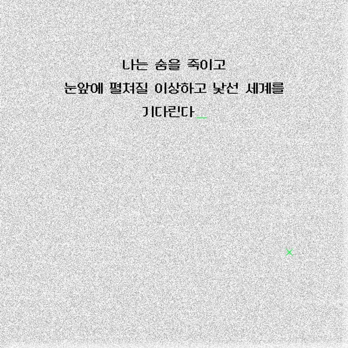 카드뉴스5