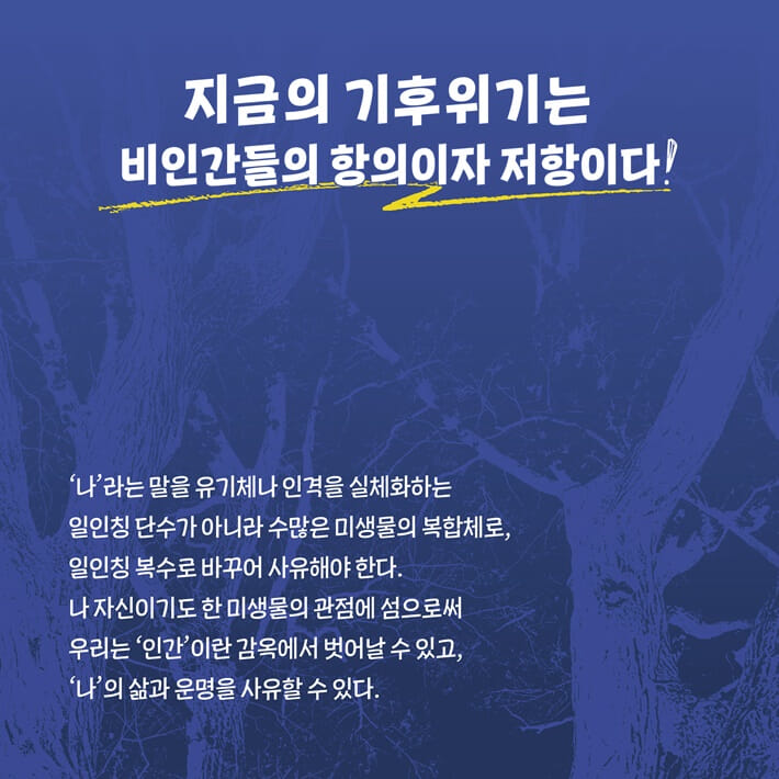 카드뉴스3