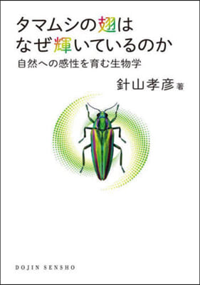 タマムシの翅はなぜ輝いているのか