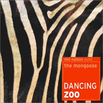 몽구스(Mongoose) - Dancing Zoo