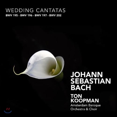 Ton Koopman 바흐: 승천절 칸타타 (Bach: Ascension Cantatas BWV11, 43, 128, 37)