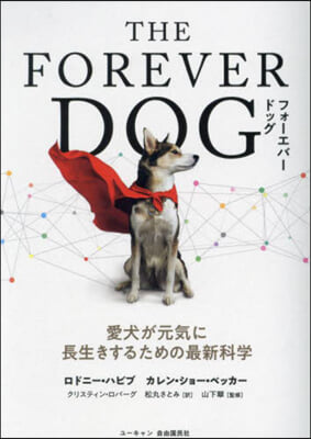 THE FOREVER DOG