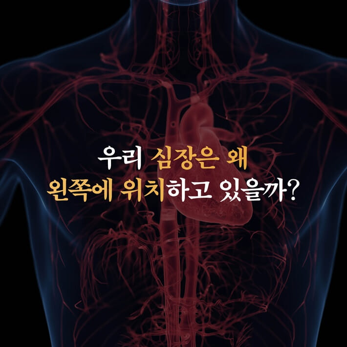 카드뉴스2